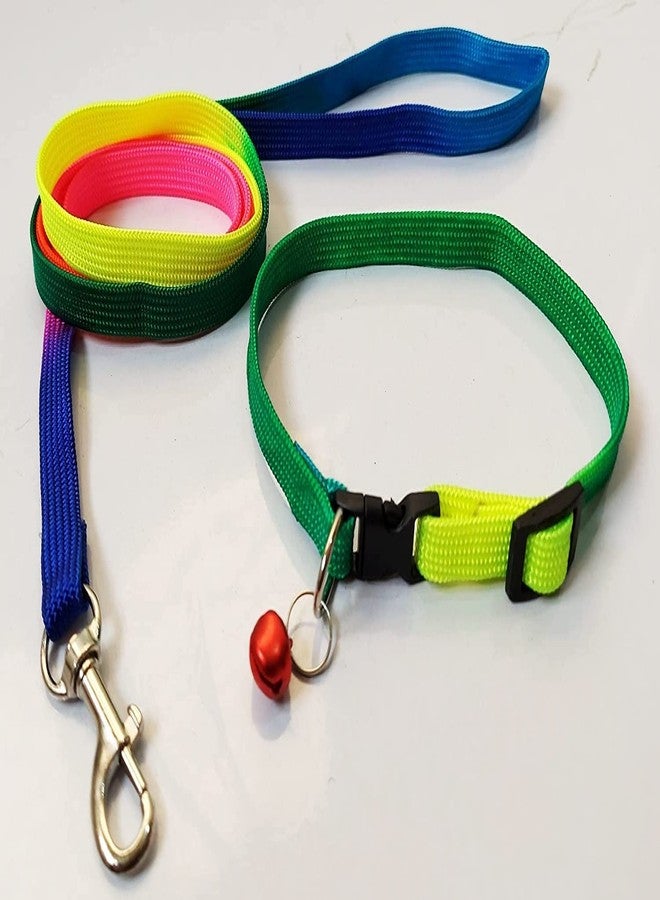 Pups&Pets Rainbow Dog Collar & Leash for Puppies, Small Dogs, Cat Collar with Bell (Adjustable Neck Size : 7-12nch) Dog Head Collar Dogs, Cat Collar with Bell (Color May Vary) - Image 3